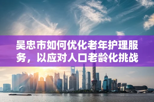 吴忠市如何优化老年护理服务，以应对人口老龄化挑战？