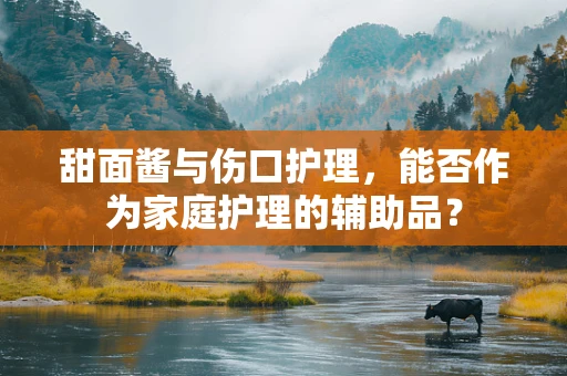 甜面酱与伤口护理，能否作为家庭护理的辅助品？