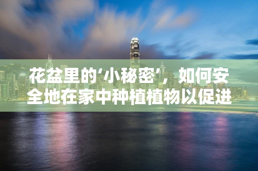 花盆里的‘小秘密’，如何安全地在家中种植植物以促进患者康复？