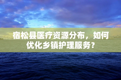 宿松县医疗资源分布，如何优化乡镇护理服务？