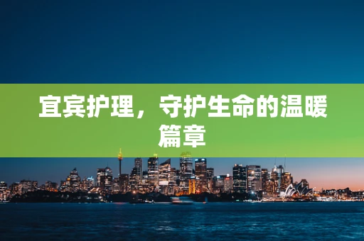 宜宾护理，守护生命的温暖篇章