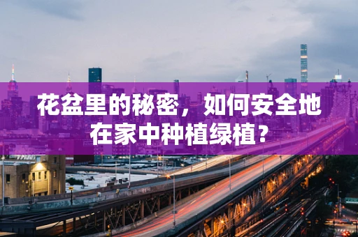 花盆里的秘密，如何安全地在家中种植绿植？