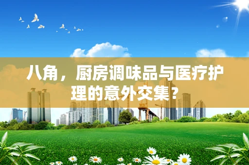 八角，厨房调味品与医疗护理的意外交集？