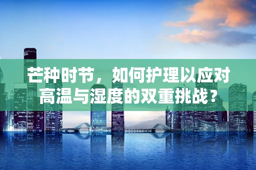 芒种时节，如何护理以应对高温与湿度的双重挑战？