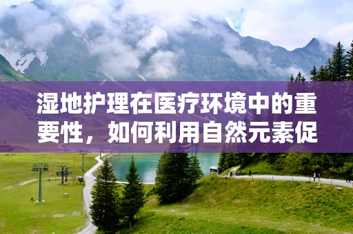 湿地护理在医疗环境中的重要性，如何利用自然元素促进患者康复？