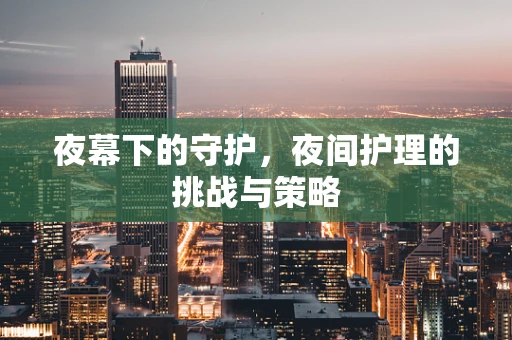 夜幕下的守护，夜间护理的挑战与策略