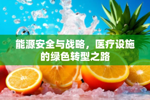 能源安全与战略，医疗设施的绿色转型之路