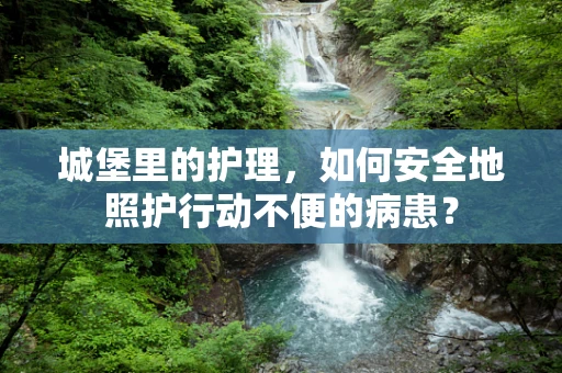 城堡里的护理，如何安全地照护行动不便的病患？