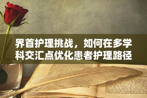 界首护理挑战，如何在多学科交汇点优化患者护理路径？