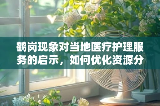 鹤岗现象对当地医疗护理服务的启示，如何优化资源分配？