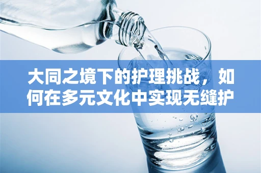 大同之境下的护理挑战，如何在多元文化中实现无缝护理？