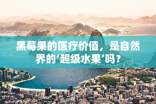 黑莓果的医疗价值，是自然界的‘超级水果’吗？