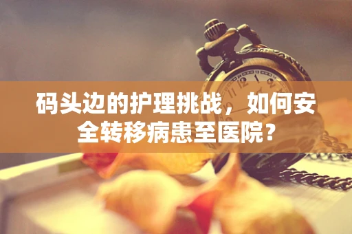码头边的护理挑战，如何安全转移病患至医院？